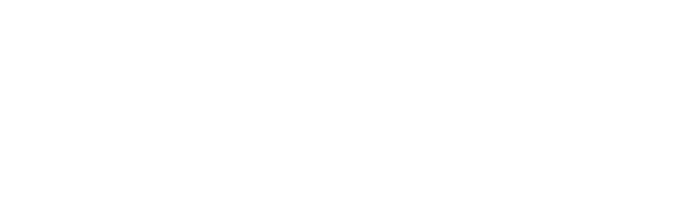 ::: 白沙屯媽祖粉紅超跑「框金的保庇」  :::